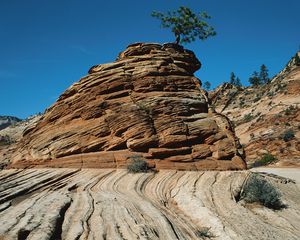 Preview wallpaper canyons, stones, strips, lines, bushes, trees, vegetation