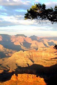 Preview wallpaper canyons, tree, shadows, height, day, sunlight