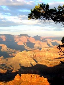 Preview wallpaper canyons, tree, shadows, height, day, sunlight