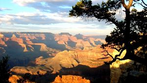 Preview wallpaper canyons, tree, shadows, height, day, sunlight