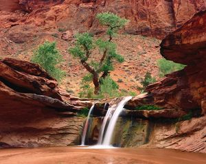 Preview wallpaper canyons, trees, falls, sand