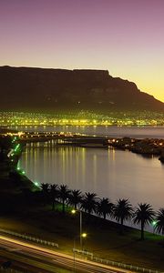 Preview wallpaper cape town, south africa, night lights, palm trees, beach