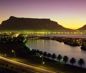 Preview wallpaper cape town, south africa, night lights, palm trees, beach