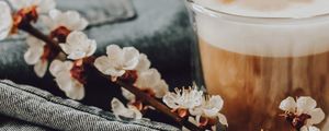 Preview wallpaper cappuccino, flowers, flowering, still life