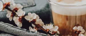 Preview wallpaper cappuccino, flowers, flowering, still life