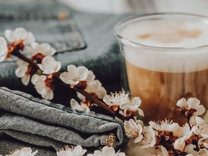 Preview wallpaper cappuccino, flowers, flowering, still life