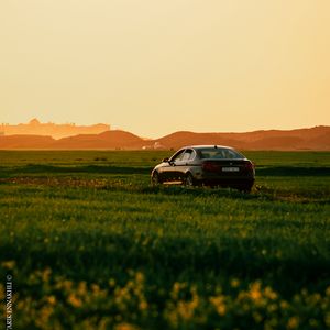 Preview wallpaper car, black, field, sunset