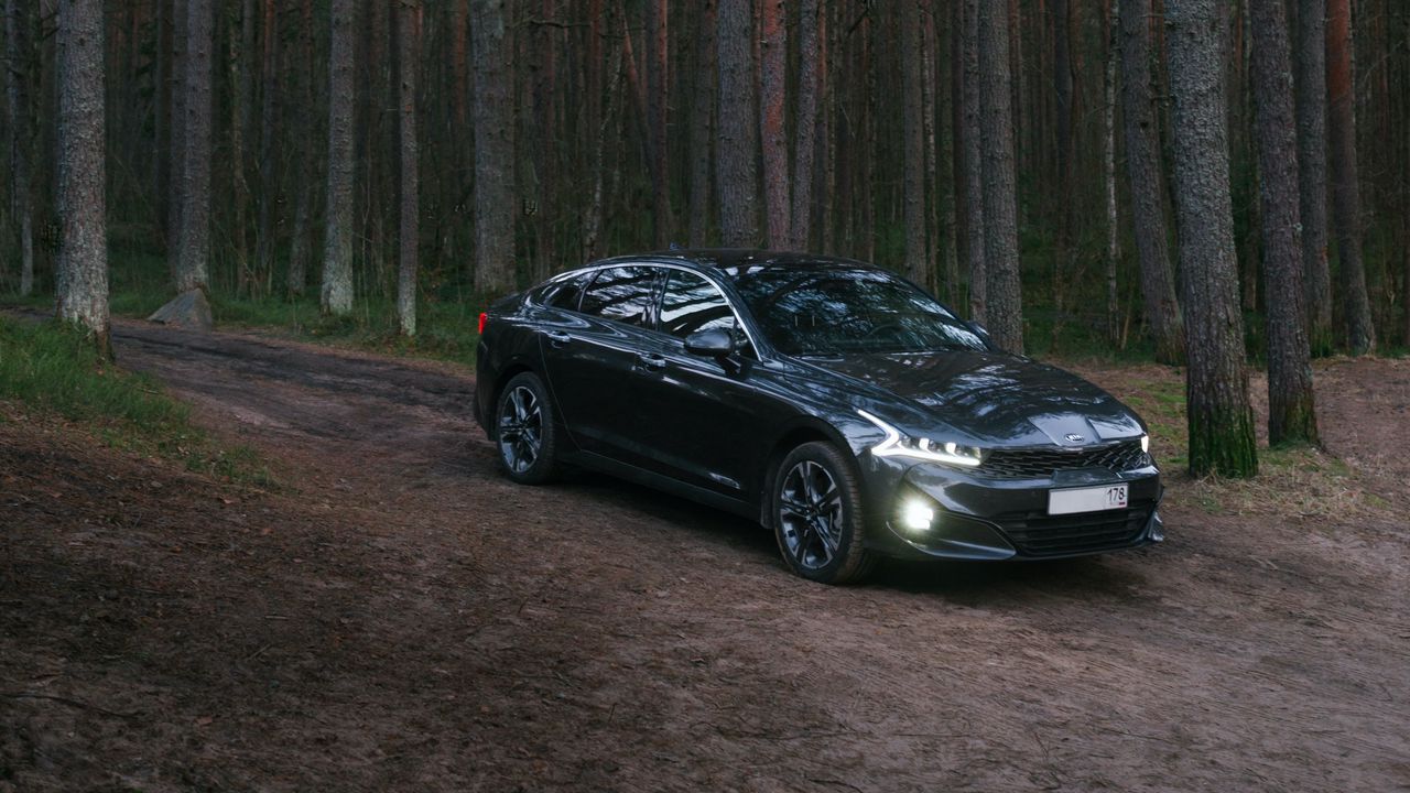 Wallpaper car, black, forest