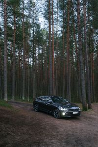 Preview wallpaper car, black, forest
