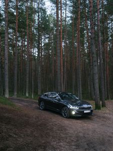 Preview wallpaper car, black, forest
