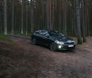Preview wallpaper car, black, forest