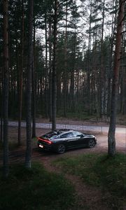 Preview wallpaper car, black, forest, trees