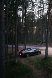 Preview wallpaper car, black, forest, trees