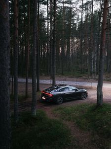 Preview wallpaper car, black, forest, trees