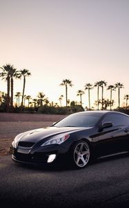 Preview wallpaper car, black, palm trees, side view