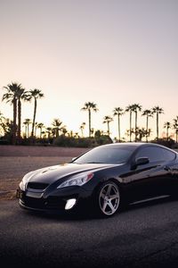 Preview wallpaper car, black, palm trees, side view