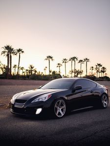 Preview wallpaper car, black, palm trees, side view