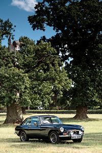 Preview wallpaper car, black, retro, trees, park