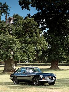 Preview wallpaper car, black, retro, trees, park