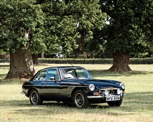 Preview wallpaper car, black, retro, trees, park