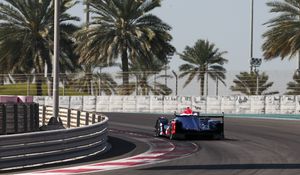 Preview wallpaper car, bolide, racing, road, speed, palm trees