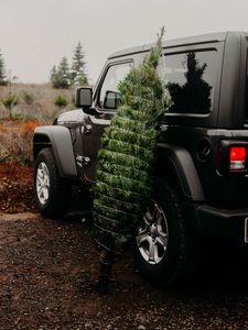 Preview wallpaper car, christmas tree, tree, suv, black
