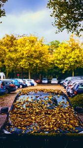 Preview wallpaper car, fallen leaves, autumn, leaves