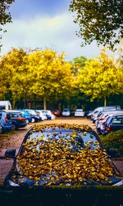 Preview wallpaper car, fallen leaves, autumn, leaves