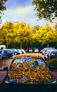 Preview wallpaper car, fallen leaves, autumn, leaves