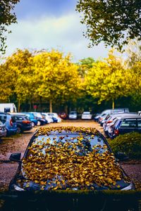 Preview wallpaper car, fallen leaves, autumn, leaves