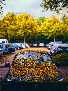 Preview wallpaper car, fallen leaves, autumn, leaves