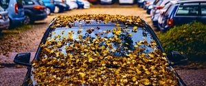 Preview wallpaper car, fallen leaves, autumn, leaves