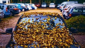 Preview wallpaper car, fallen leaves, autumn, leaves