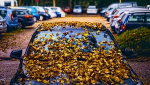 Preview wallpaper car, fallen leaves, autumn, leaves