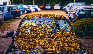 Preview wallpaper car, fallen leaves, autumn, leaves