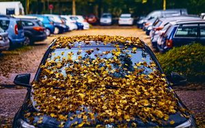 Preview wallpaper car, fallen leaves, autumn, leaves