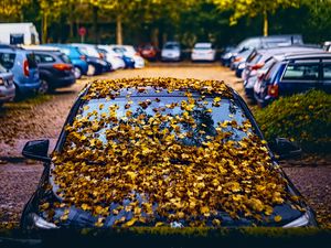 Preview wallpaper car, fallen leaves, autumn, leaves