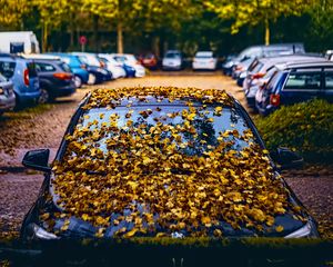 Preview wallpaper car, fallen leaves, autumn, leaves