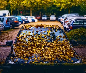 Preview wallpaper car, fallen leaves, autumn, leaves