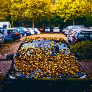 Preview wallpaper car, fallen leaves, autumn, leaves