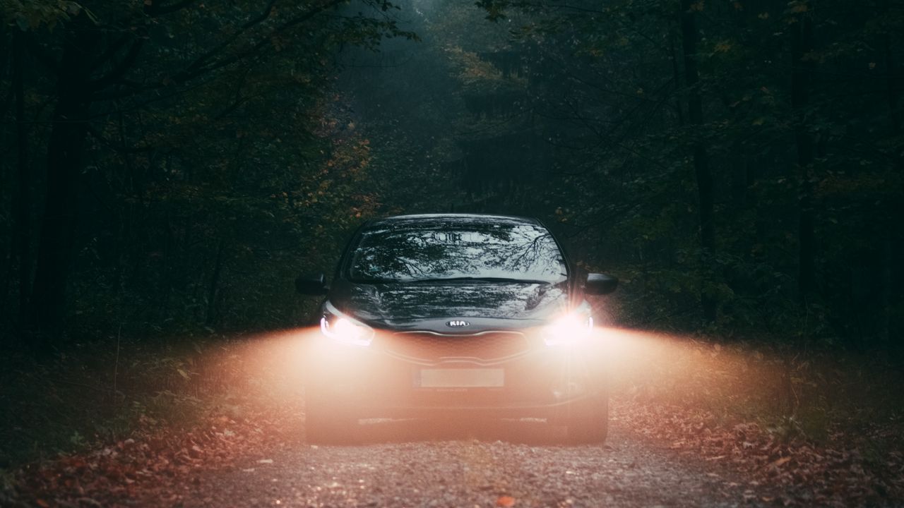 Wallpaper car, fog, lights, forest
