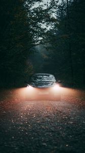 Preview wallpaper car, fog, lights, forest