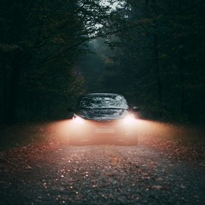 Preview wallpaper car, fog, lights, forest