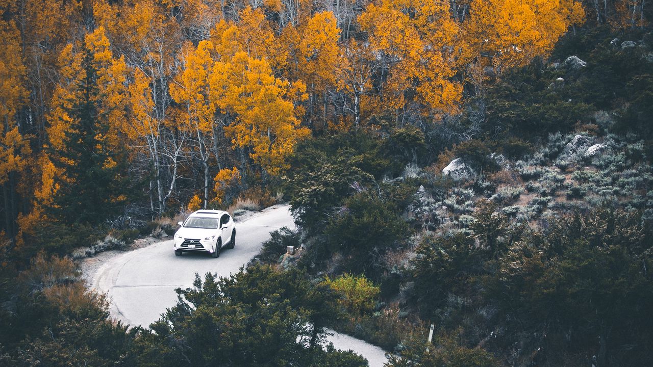 Wallpaper car, forest, road, turn, autumn