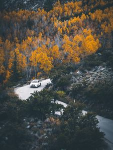 Preview wallpaper car, forest, road, turn, autumn