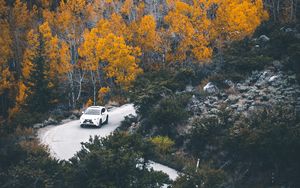 Preview wallpaper car, forest, road, turn, autumn