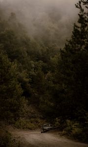 Preview wallpaper car, forest, trees, road, bushes