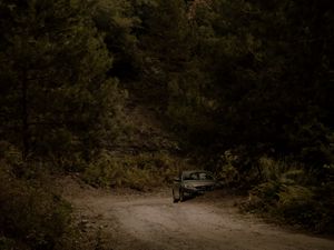 Preview wallpaper car, forest, trees, road, bushes