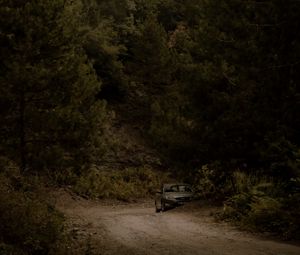 Preview wallpaper car, forest, trees, road, bushes