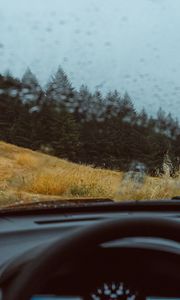 Preview wallpaper car, forest, view, glass, rain